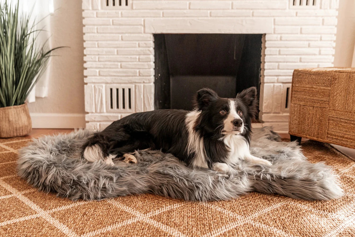 The PupPlush Orthopedic Dog Bed - Gray.