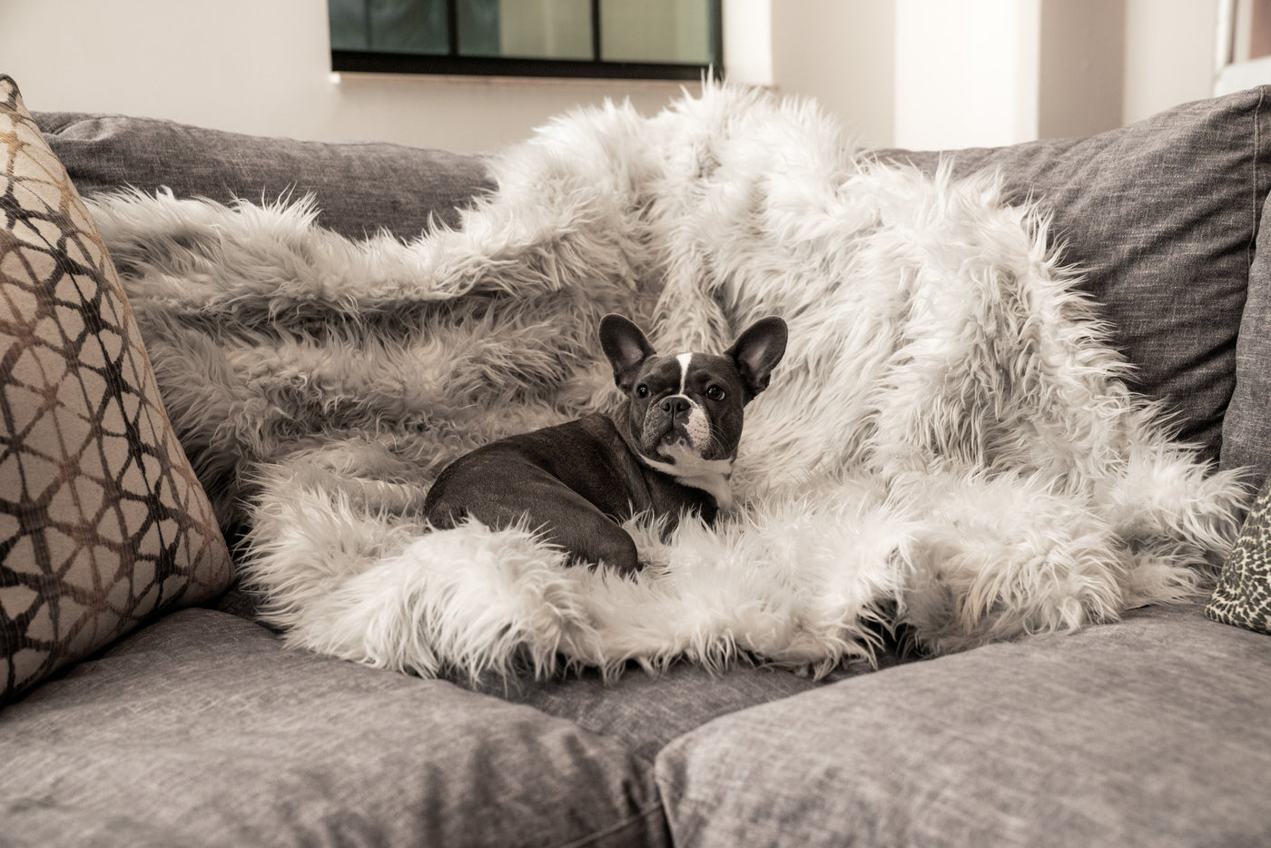 Pup Protector Comfort Throw Blanket- White with Brown Accents.