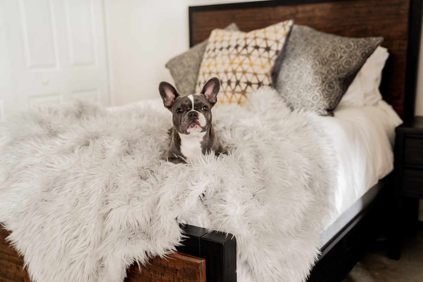 Pup Protector Comfort Throw Blanket- White with Brown Accents.