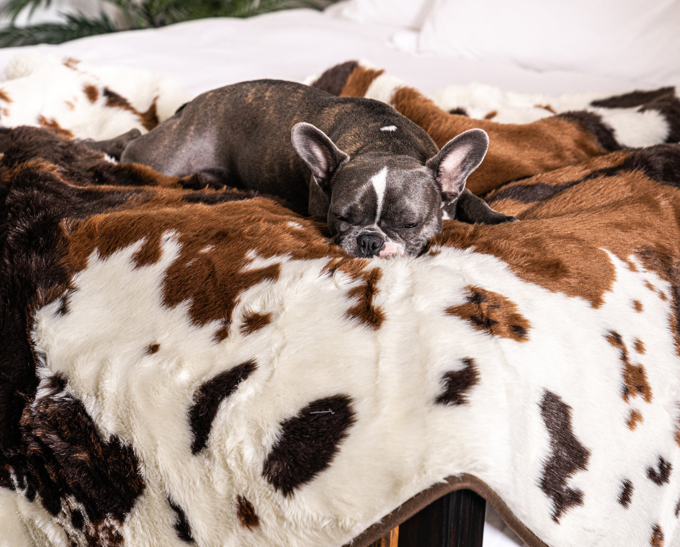 Pup Protector Comfort Throw Blanket- White with Brown Accents.