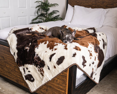 Pup Protector Comfort Throw Blanket- White with Brown Accents.