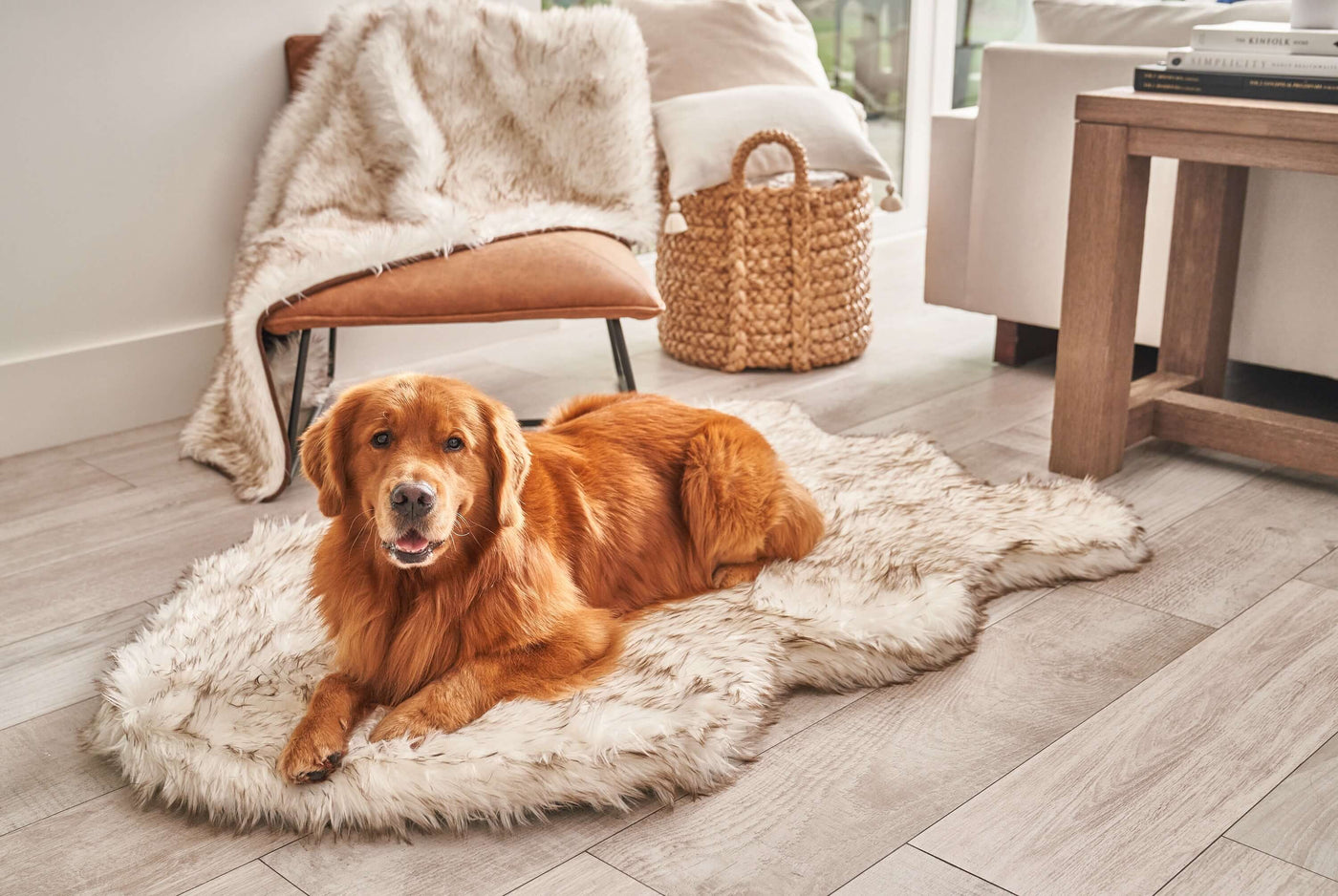 The PupPlush Orthopedic Dog Bed - Curve White with Brown Accents.