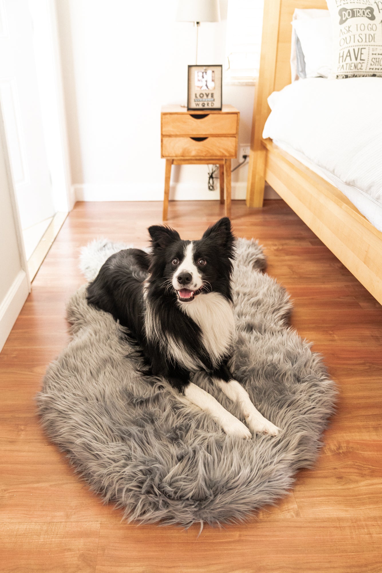 The PupPlush Orthopedic Dog Bed - Gray.