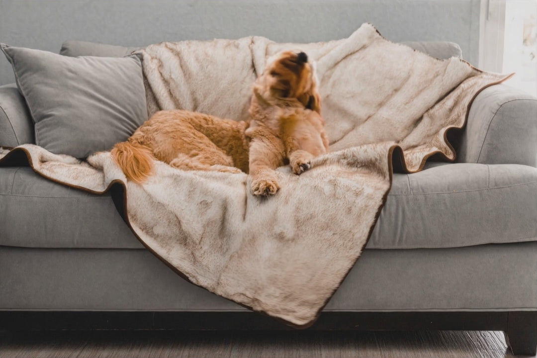 Truly For Pets Cooling Comfort Blanket - White with Brown Accents