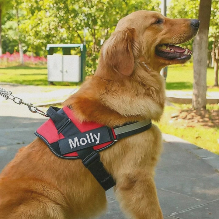 Personalized Anti-Choke Dog Harness – Adjustable, No-Pull Design with Custom Name