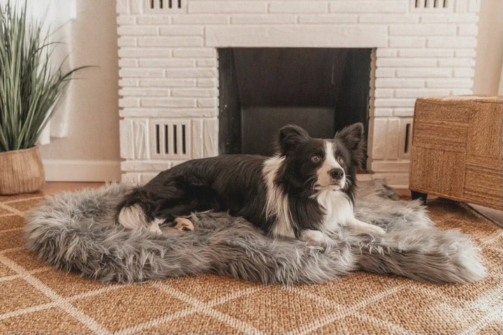 Truly For Pets Orthopedic Comfort Bed - Gray