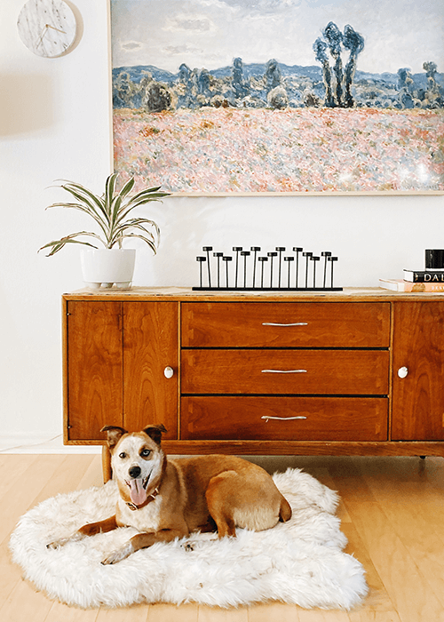 The PupPlush Orthopedic Dog Bed - Curve White with Brown Accents.