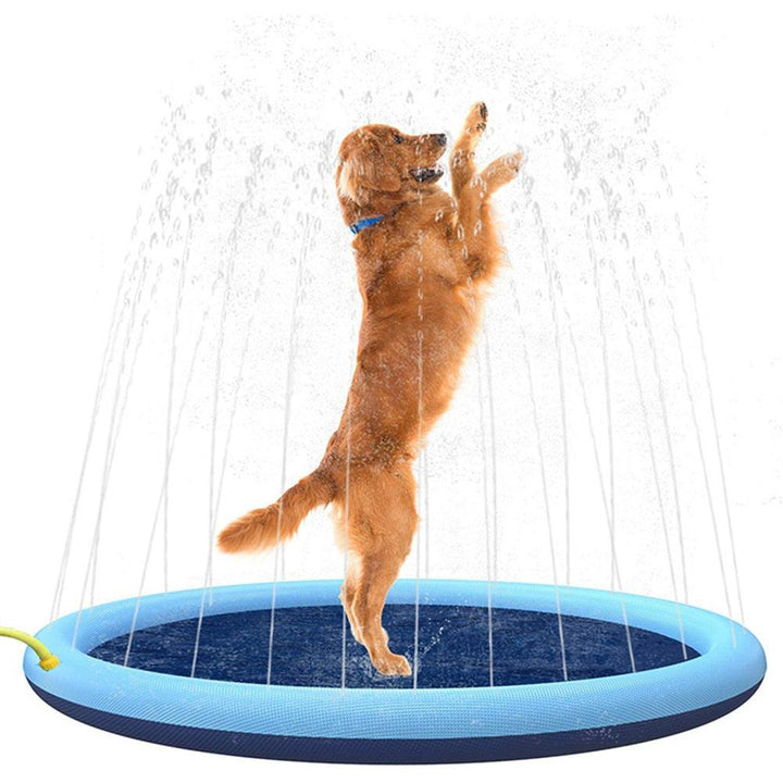Dog Sprinkler Pad.