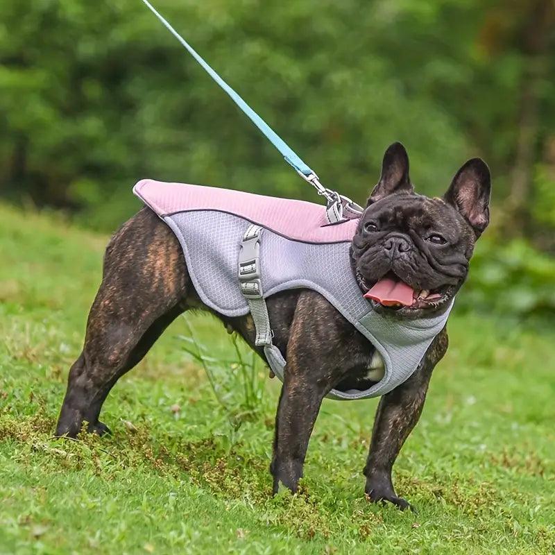 Dog Cooling Harness.